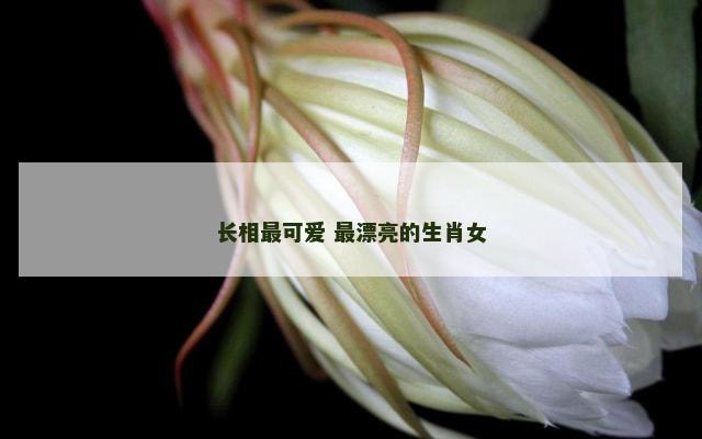 长相最可爱 最漂亮的生肖女