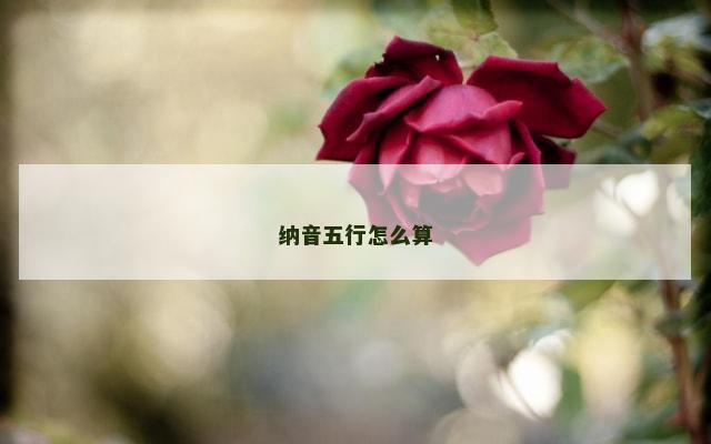 纳音五行怎么算
