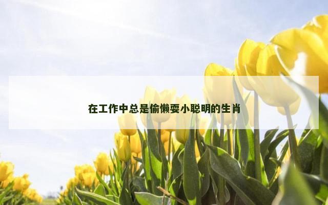在工作中总是偷懒耍小聪明的生肖