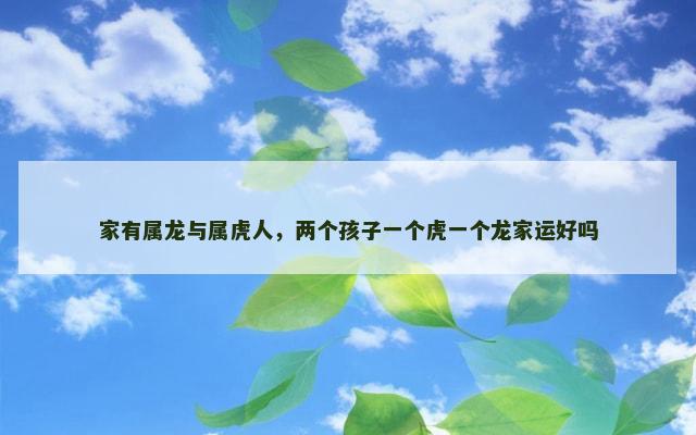 家有属龙与属虎人，两个孩子一个虎一个龙家运好吗