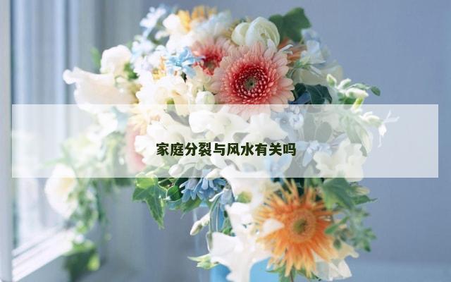 家庭分裂与风水有关吗