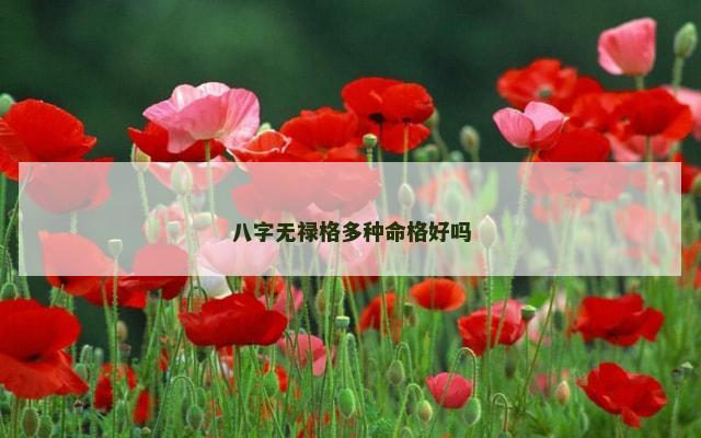 八字无禄格多种命格好吗