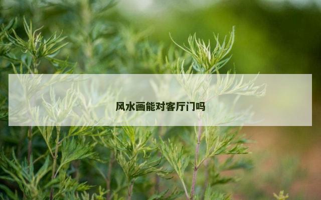 风水画能对客厅门吗