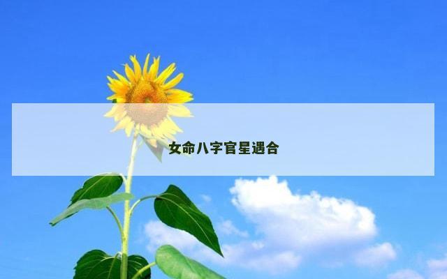 女命八字官星遇合