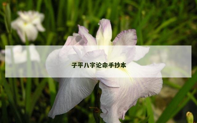 子平八字论命手抄本