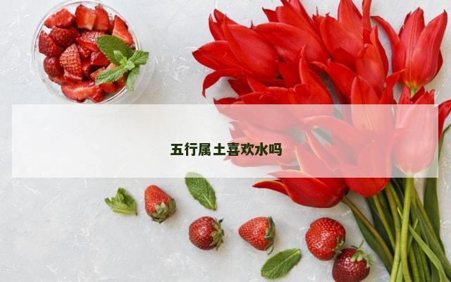 五行属土喜欢水吗