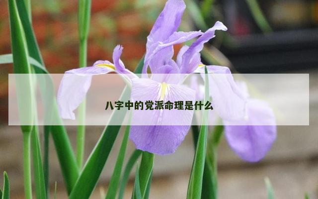 八字中的党派命理是什么