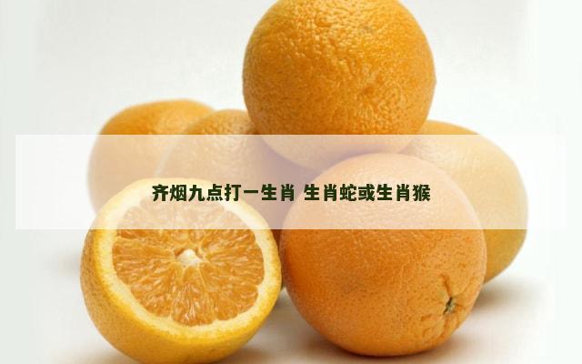 齐烟九点打一生肖 生肖蛇或生肖猴