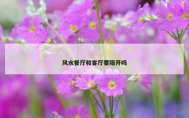 风水餐厅和客厅要隔开吗