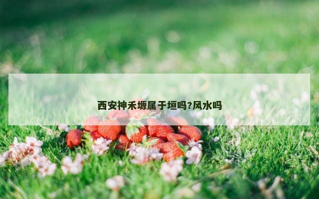 西安神禾塬属于垣吗?风水吗