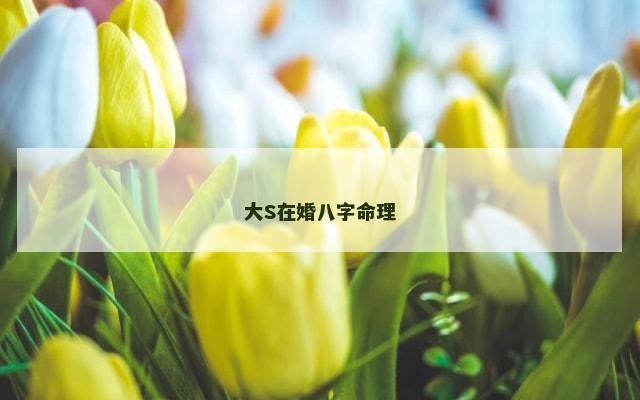 大S在婚八字命理