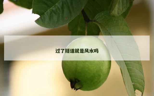 过了隧道就是风水吗