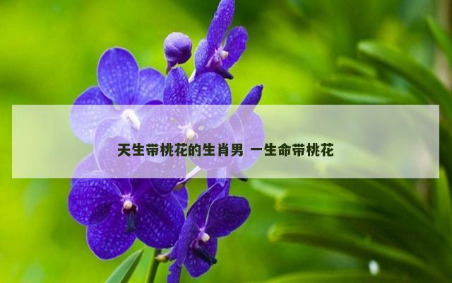 天生带桃花的生肖男 一生命带桃花