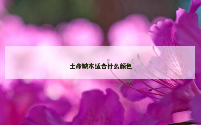 土命缺木适合什么颜色