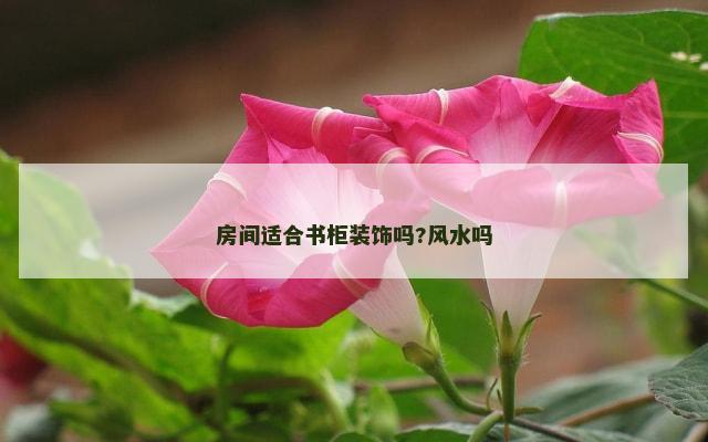 房间适合书柜装饰吗?风水吗