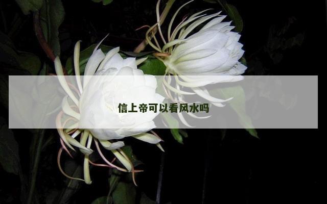 信上帝可以看风水吗