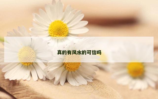 真的有风水的可信吗