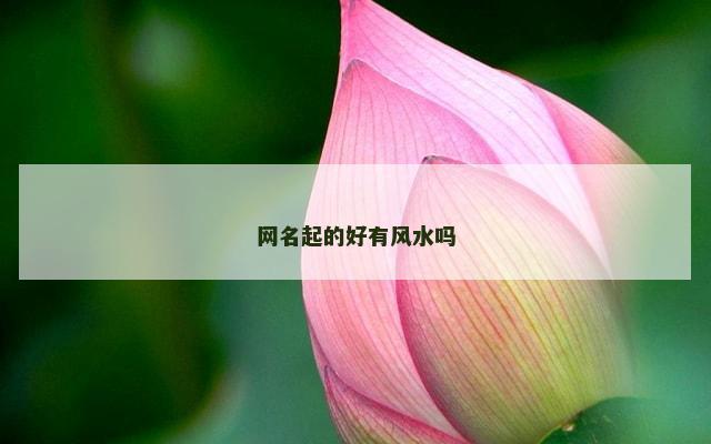 网名起的好有风水吗