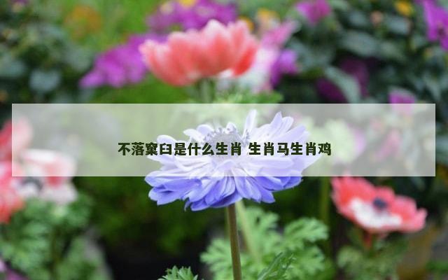 不落窠臼是什么生肖 生肖马生肖鸡