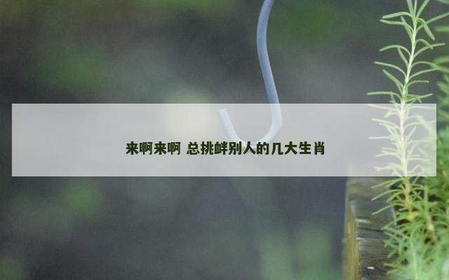 来啊来啊 总挑衅别人的几大生肖