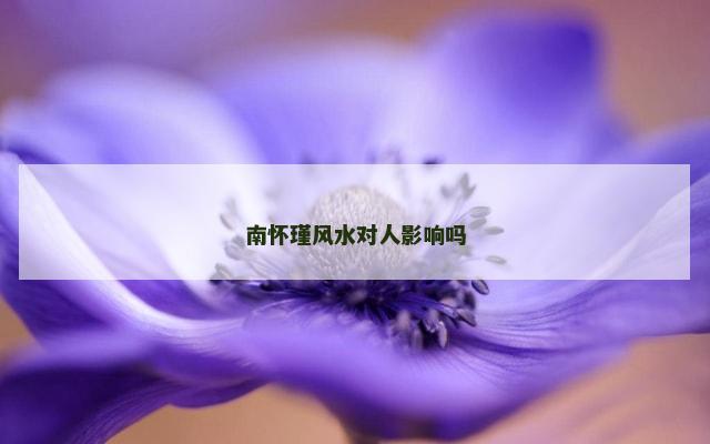 南怀瑾风水对人影响吗