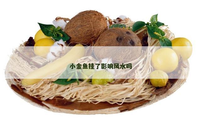 小金鱼挂了影响风水吗