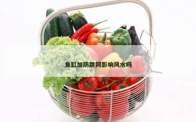 鱼缸加防跳网影响风水吗
