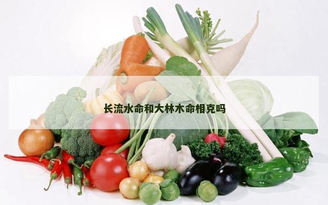 长流水命和大林木命相克吗