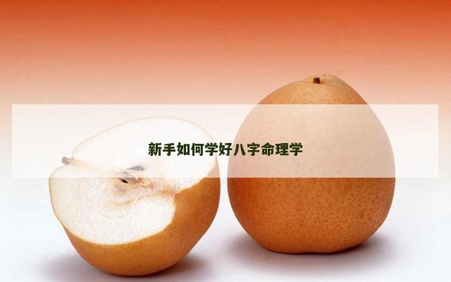 新手如何学好八字命理学