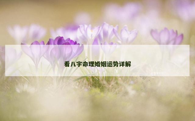 看八字命理婚姻运势详解