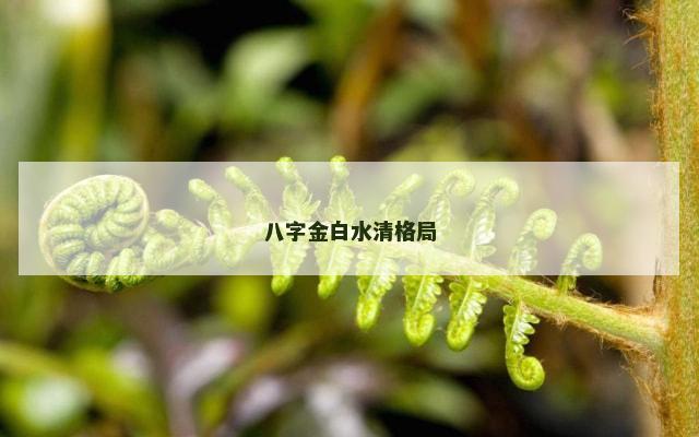 八字金白水清格局
