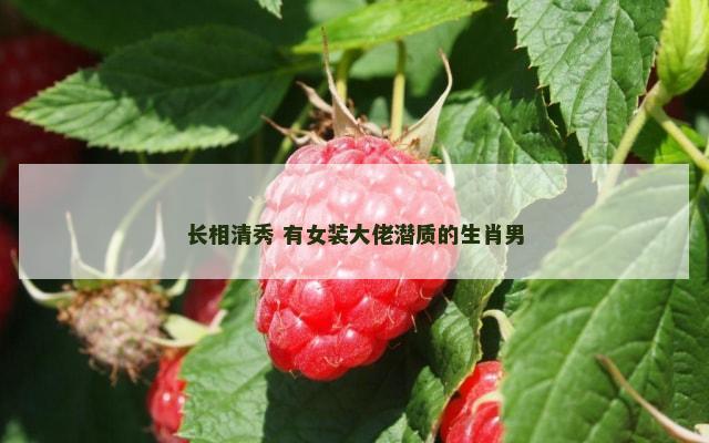 长相清秀 有女装大佬潜质的生肖男