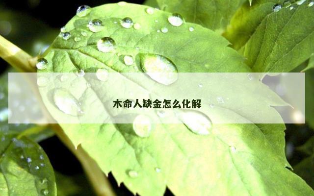木命人缺金怎么化解