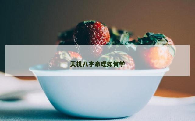 天机八字命理如何学
