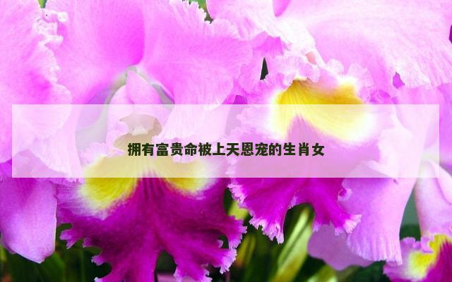 拥有富贵命被上天恩宠的生肖女