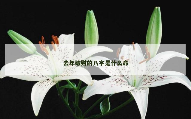 去年破财的八字是什么命