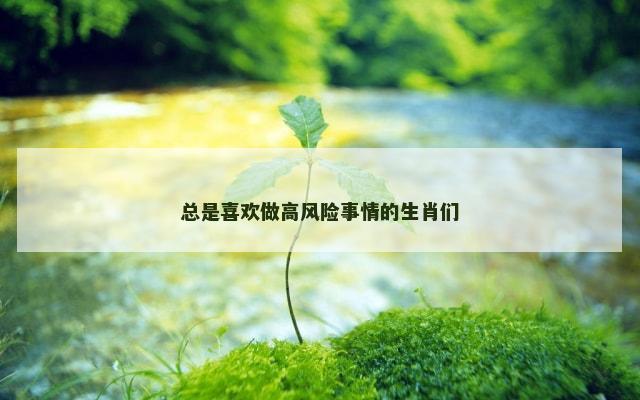 总是喜欢做高风险事情的生肖们