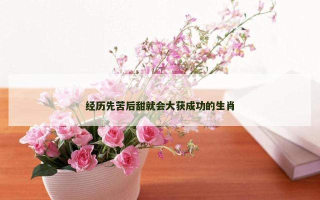 经历先苦后甜就会大获成功的生肖