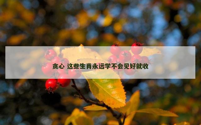贪心 这些生肖永远学不会见好就收