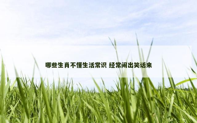 哪些生肖不懂生活常识 经常闹出笑话来