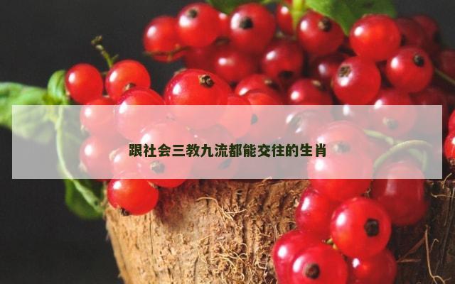 跟社会三教九流都能交往的生肖