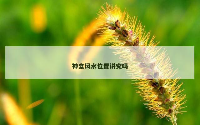 神龛风水位置讲究吗