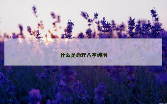 什么是命理八字纯阴