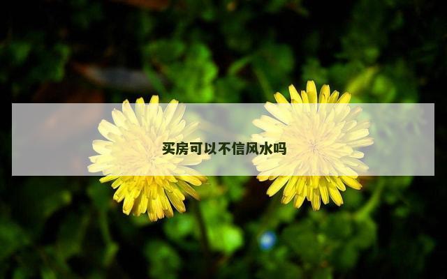 买房可以不信风水吗