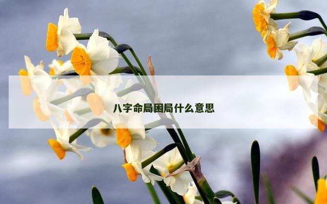 八字命局困局什么意思