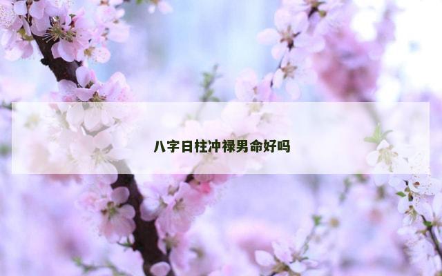 八字日柱冲禄男命好吗