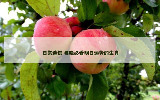 日常迷信 每晚必看明日运势的生肖