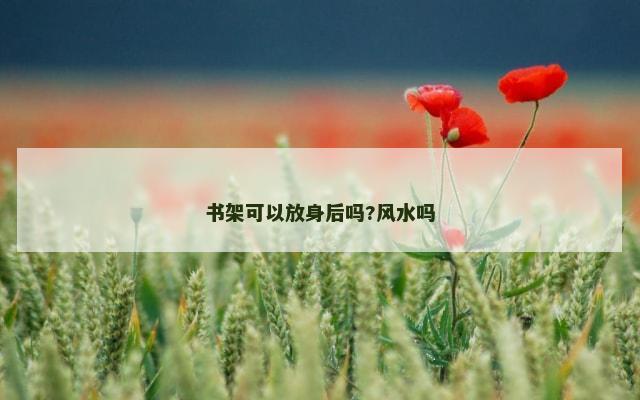 书架可以放身后吗?风水吗