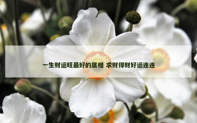 一生财运旺最好的属相 求财得财好运连连