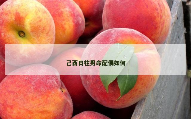 己酉日柱男命配偶如何